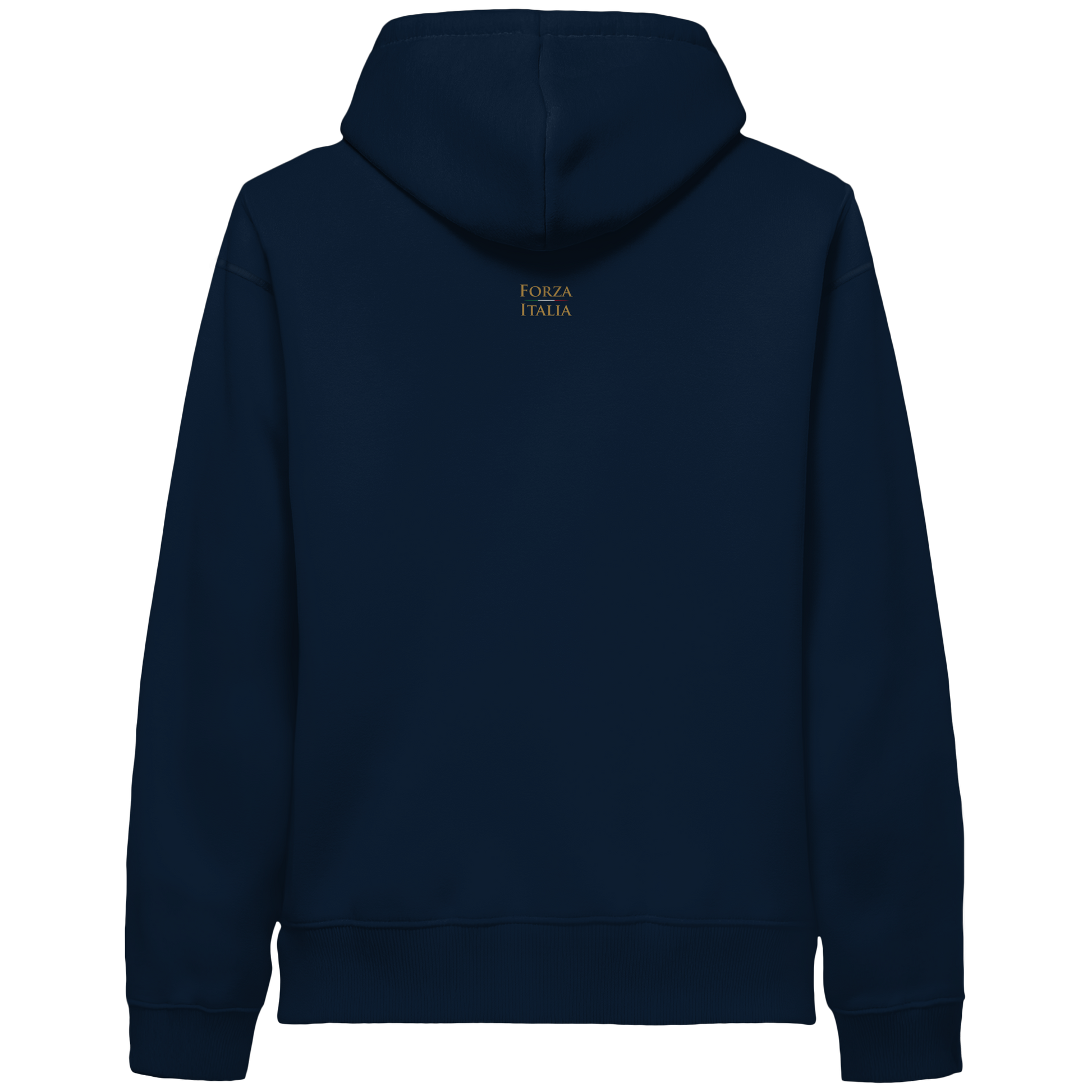 Italia Flag Hoodie