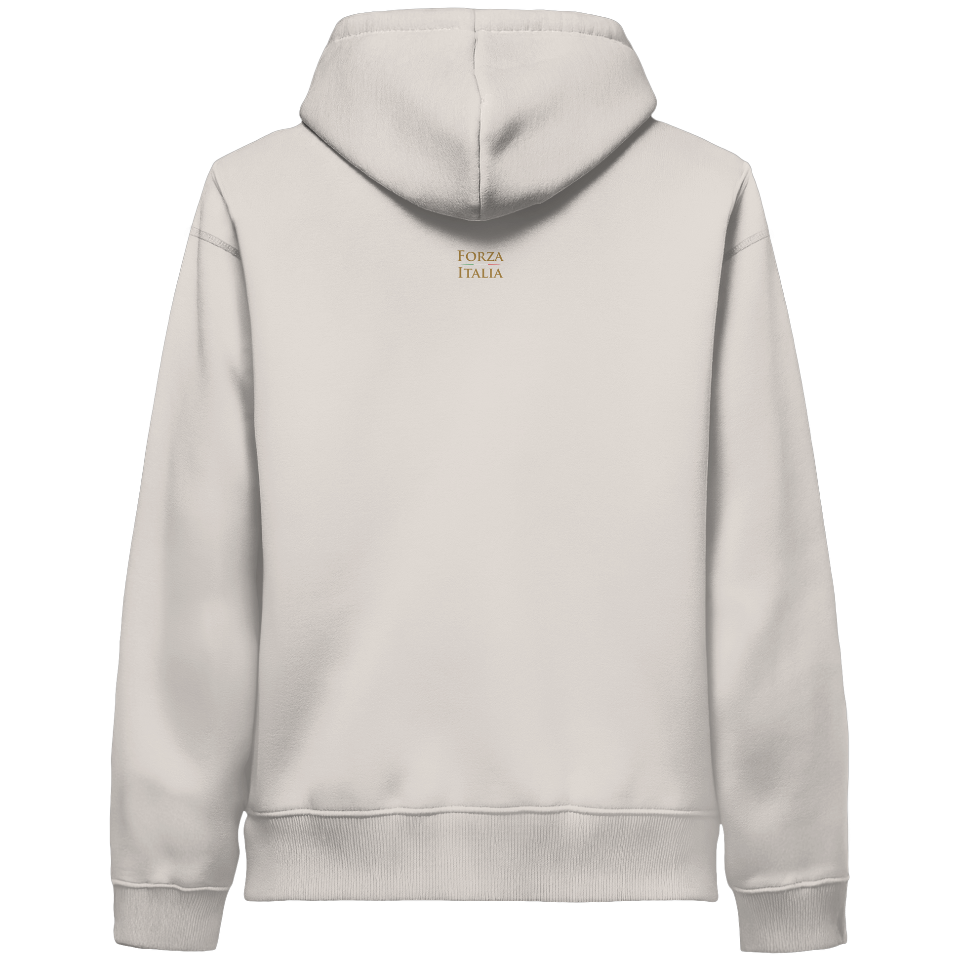 Italia Flag Hoodie